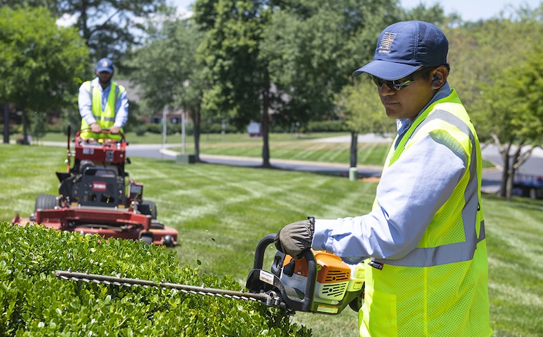 Mr. Service professional on the job