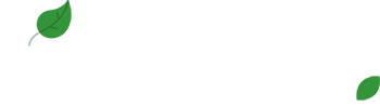 Mr. Service